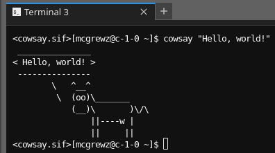 Cowsay running in the new custom container